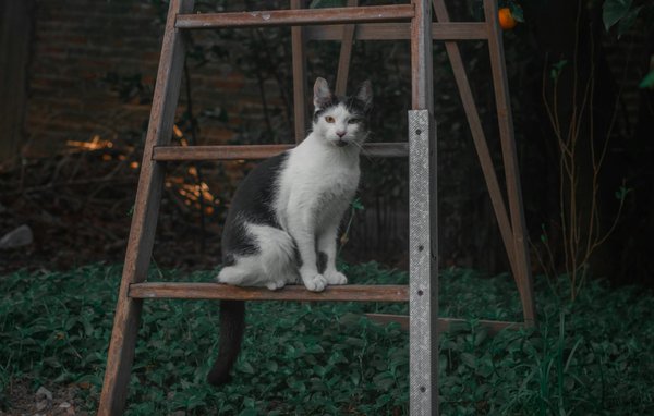 Unlock the Benefits: How Flextime Enhances Workplace Well-Being and Reduces Stress